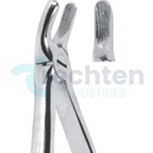 Extracting Forceps – English Pattern