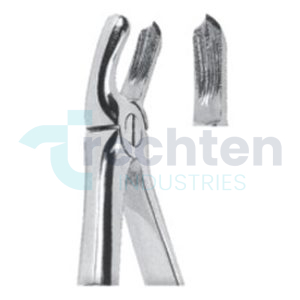 Extracting Forceps – English Pattern