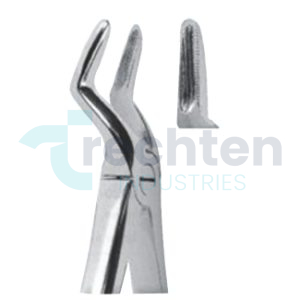 Extracting Forceps – English Pattern