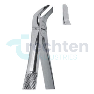 Extracting Forceps – English Pattern