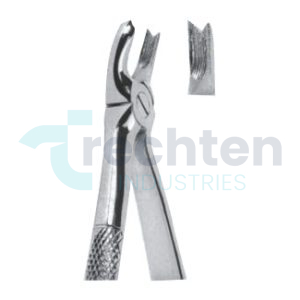 Extracting Forceps – English Pattern