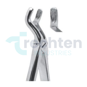 Extracting Forceps – English Pattern