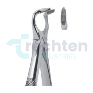 Extracting Forceps – English Pattern