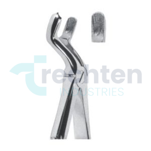 Extracting Forceps – English Pattern