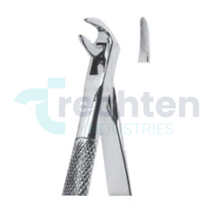 Extracting Forceps – English Pattern